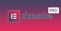 Elementor Pro v2.8.3 - Elementor v2.8.3 - Live Page Builder For WordPress - NULLED +  Page Archive & Popup Templates