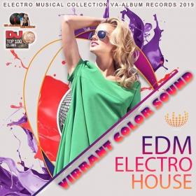 VA - Vibrant Color Sound Top 100 DJ Electro House (2019) MP3