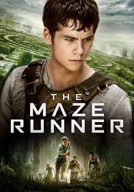 The Maze Runner (2014) 720p BluRay [Hindi DD 2 0 - English AAC 5.1] H264 ESubs ~RONIN~