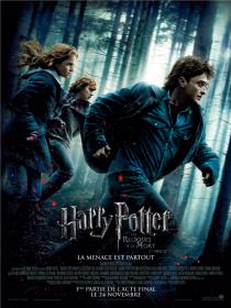Harry Potter And The Deathly Hallows Part 1 2010 TRUEFRENCH DVDRiP XViD AC3-THEWARRIOR777