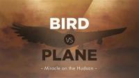 Bird vs Plane Miracle on the Hudson 1080p HDTV x264 AAC