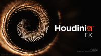 SideFX Houdini FX 18.0.348 (x64)