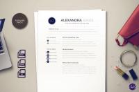Clean Styled Resume Pack (InDesign-Word) Templates