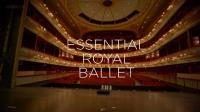 BBC Essential Royal Ballet 1080p HDTV x265 AAC