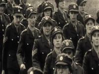 Tony Robinsons History Of Britain S01E04 Second World War 480p x264-mSD[eztv]