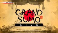 NHK Grand Sumo Live January 2020 720p HDTV x265 AAC MVGroup Forum