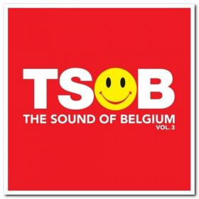 VA - TSOB - The Sound of Belgium (2013-2016) (320)
