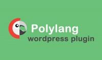 Polylang Pro v2.6.9 - Polylang for WooCommerce v1.3.0 - Adds Multilingual Capability to WordPress