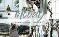 Moody Mobile Lightroom Presets 2769263