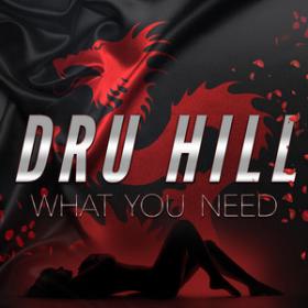 Dru Hill  What You Need Single (2020) [320]  kbps Beats⭐