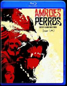 Amores perros 2000 BDRip-AVC ExKinoRay