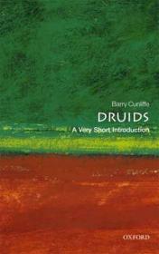 The Druids A Very Short Introduction (pdf)[rogercc][h33t]