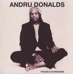 Andru Donalds  Trouble In Paradise 2011MP3 VBR BLOWA TLS