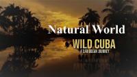BBC Natural World Wild Cuba A Caribbean Journey Part 1 1080p HDTV x264 AAC
