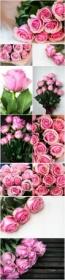 Bouquets of pink roses beautiful stock photo