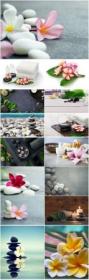 Spa backgrounds, compositions beautiful stock photo