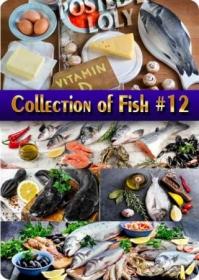 Food. Mega Collection. Fish #12 - Stock Photo