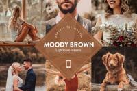 Creativemarket - Moody Brown Lightroom Preset 4593839