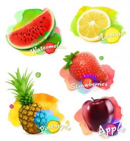 Fruit Berries Watercolor Vector Illustration