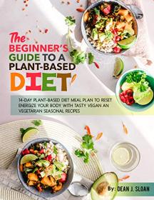 The Beginner's Guide To A Plantbased Diet- 14-day Plant-based Diet Meal Plan To Reset & Energize Your Body
