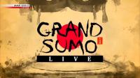 NHK Grand Sumo Live March 2020 720p HDTV x265 AAC MVGroup Forum