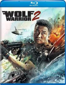 战狼2 Wolf Warriors II 2017 BD1080P X264 DTS-HD MA 7.1 Mandarin&English CHS-ENG FFans&星星