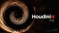 SideFX Houdini FX 18.0.416 (x64) [FileCR]