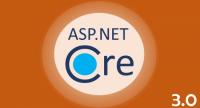 Udemy - Advanced ASP.NET Core 3.1 MVC