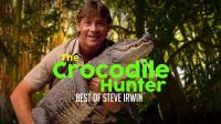 Crocodile Hunter The Best Of Steve Irwin 2of6 Crocodiles of the Revolution MVGroup forum