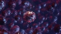 Videohive - Coronavirus, Virus, Bacteria or Other Disease in Microscopic Close Up Representation 26117257