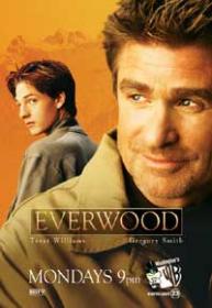 Everwood - Stagione 1 - Pack 1