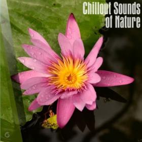 [2018] VA - Chillout Sounds Of Nature [FLAC WEB]