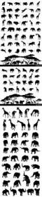 Silhouettes of animals in vector, elephant, giraffe, lion, rhino, leopard