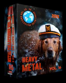 VA - Heavy Metal Collections Vol  16 (3CD +1CD LIVE) - 2020, FLAC