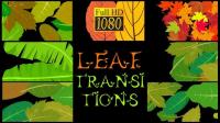 Videohive - Leaf Transitions 23624500