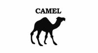 Udemy - Apache Camel for Beginners - Learn by Coding in Java