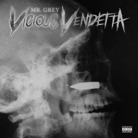 Mr  Grey Vicious Vendetta Rap  Hip-Hop  (2020) [320]  kbps Beats⭐