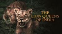 The Lion Queens Of India 2of4 Alone In The Bush MVGroup forum