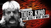 TMZ Investigates Tiger King What Really Went Down 2020 720p WEB-DL H264 BONE