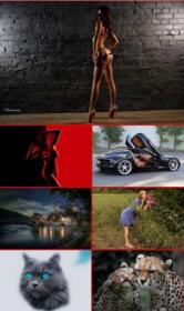 New best wallpapers pack #101