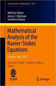 Mathematical Analysis of the Navier-Stokes Equations - Cetraro, Italy 2017 (Lecture Notes in Mathematics