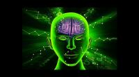 Udemy - Neuroscience, neuroplasticity, memoria, how to rewire brain