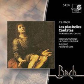 J S  Bach - The Most Beautiful Cantatas - Collegium Vocale, La Chapelle Royal - Philippe Herreweghe & ors 5CDs