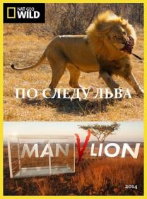 По следу льва ts