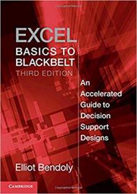 Excel Basics to Blackbelt - An Accelerated Guide to Decision Support Designs, 3rd Edition
