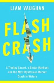 Flash Crash - A Trading Savant, a Global Manhunt, and the Most Mysterious Market Crash in History