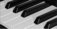 Udemy - PIANO CHORDS -Complete and progressive course