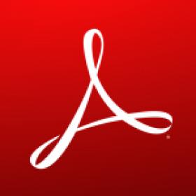 Adobe Acrobat Pro DC 2020.009.20065 + Patch