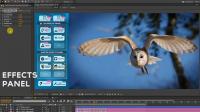 Live Photo Animation - 294974 - Project for After Effects