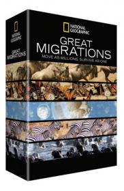 Great Migration Atto II